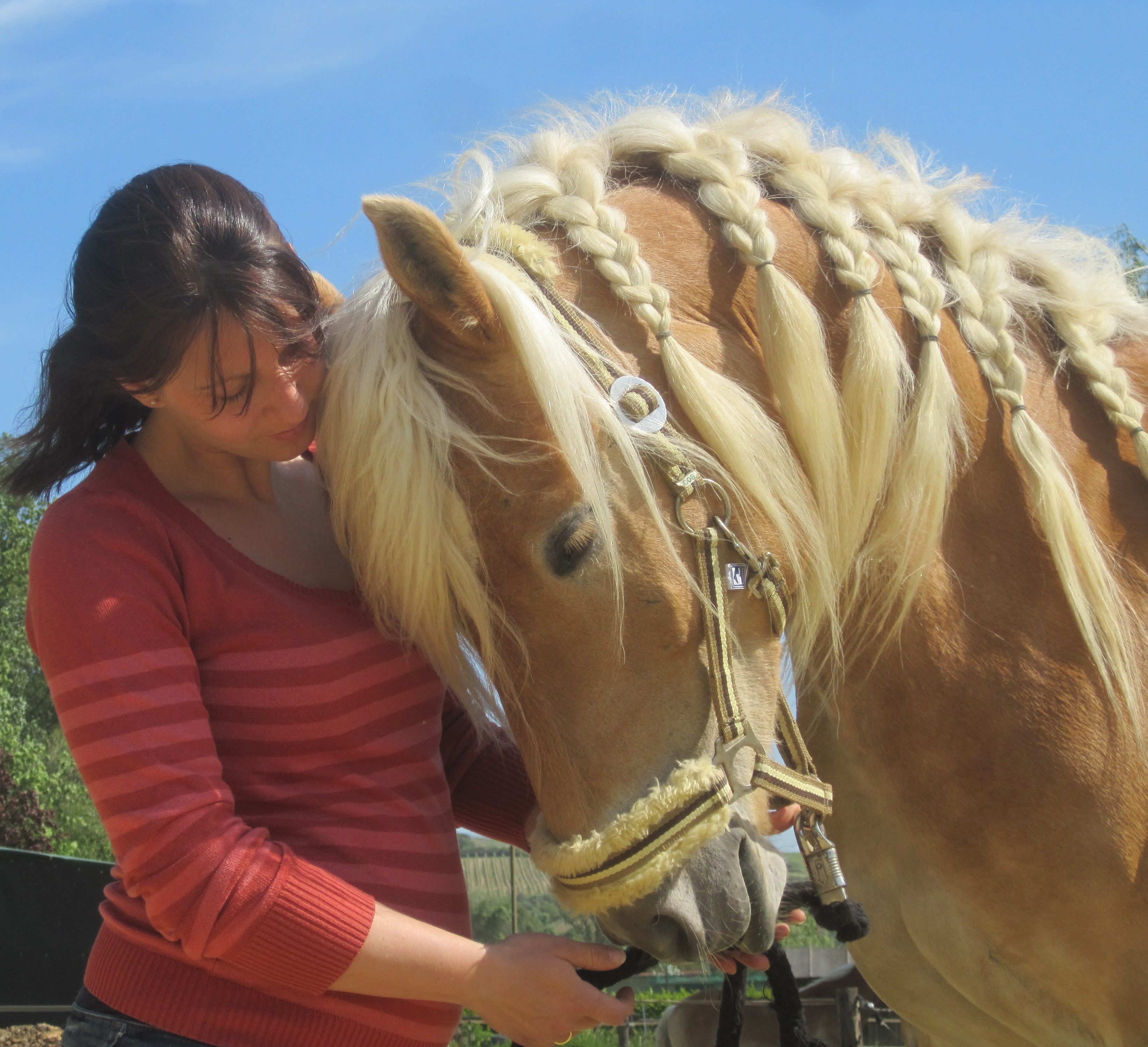 Liberty Ranch | Weinviertel