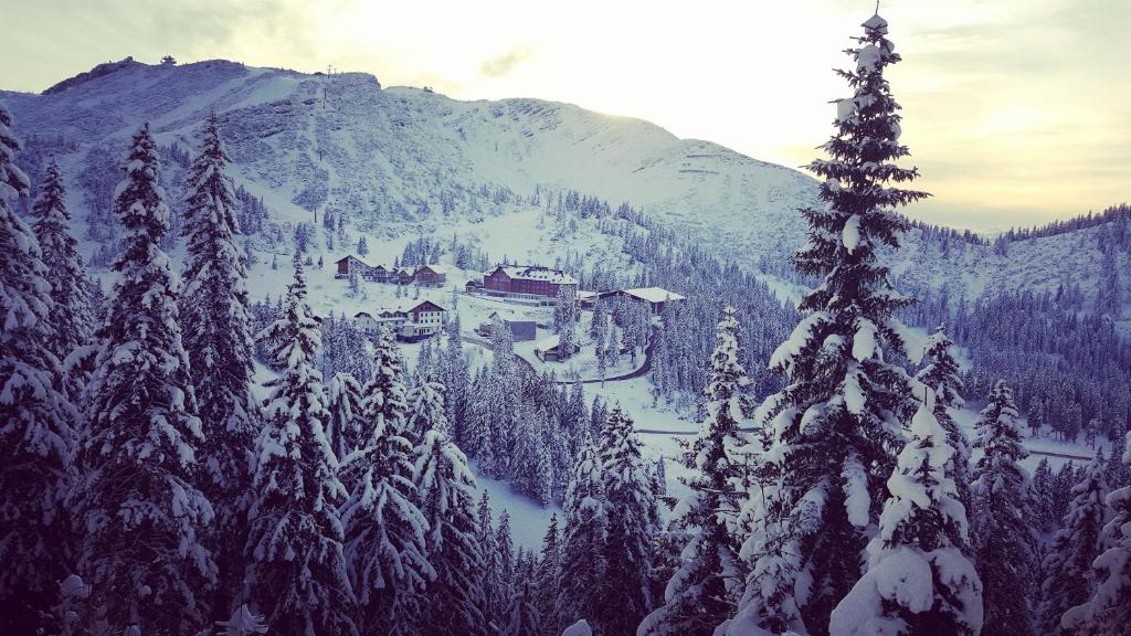 JoSchi Almhütte Hochkar