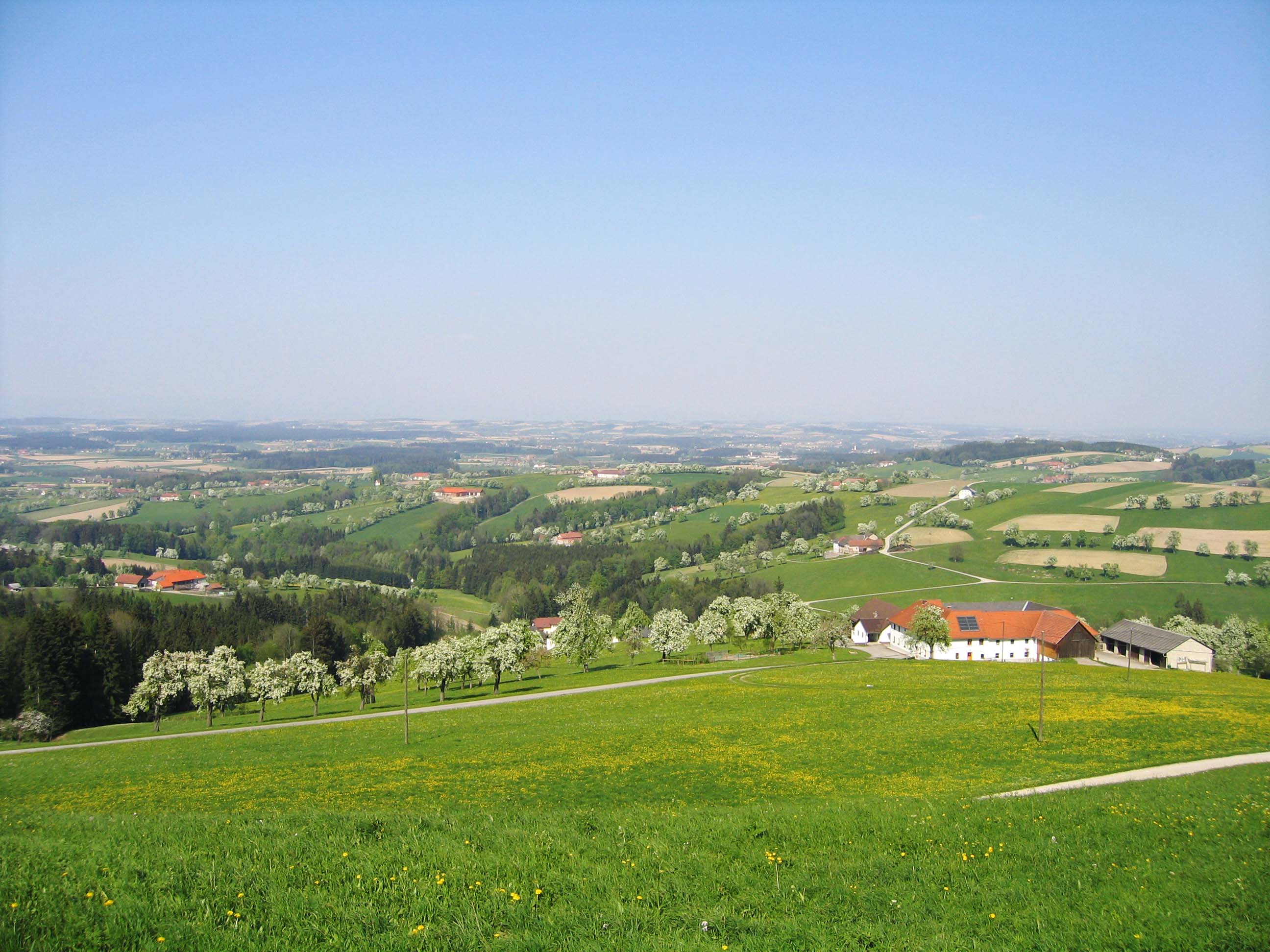 Aussichtspunkt "Mostviertel-Blick"
