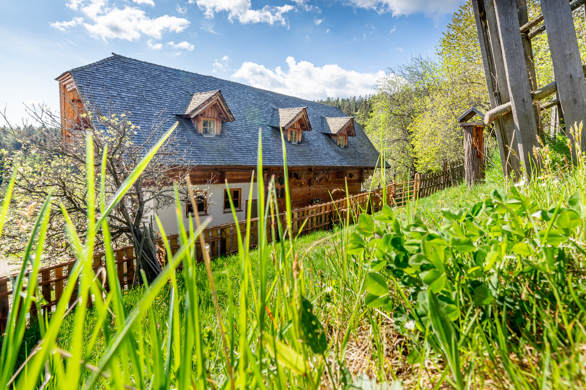 ...surrounded by nature.