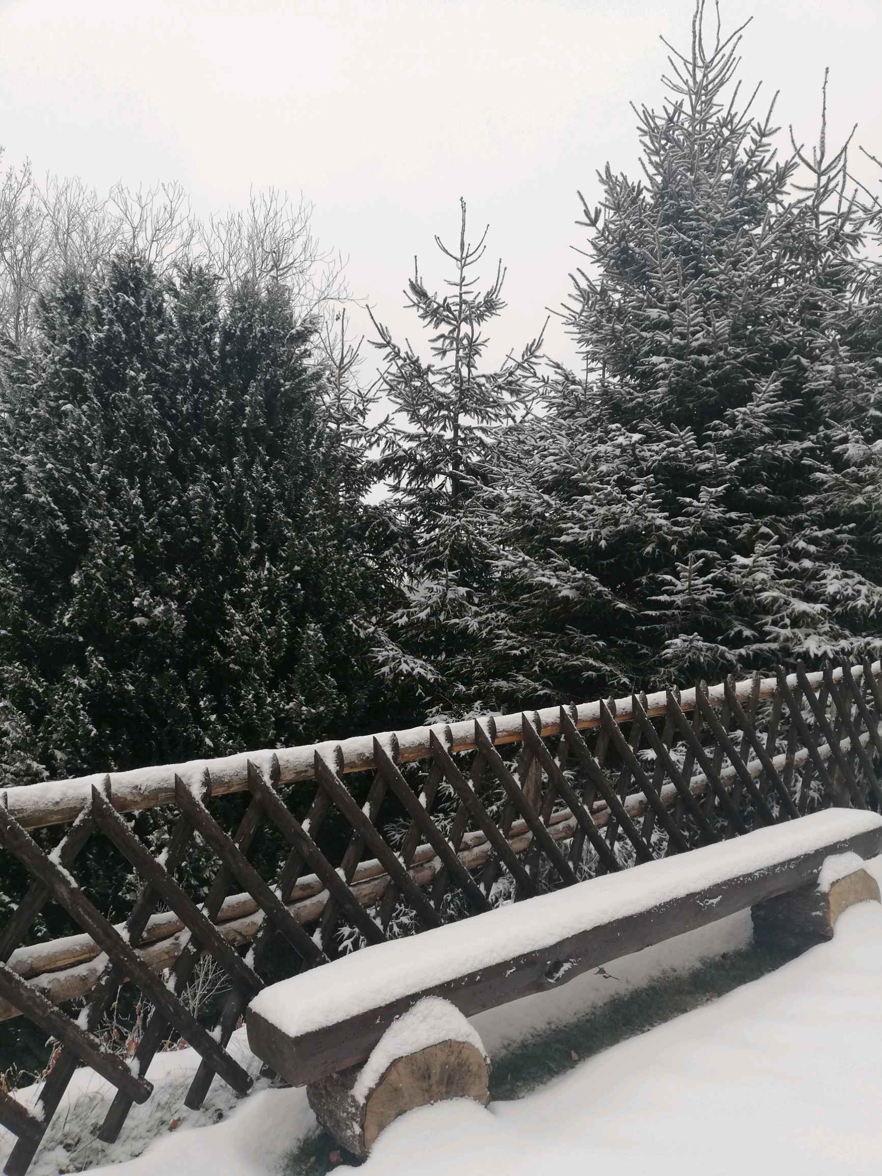 Winter with the Weibels family