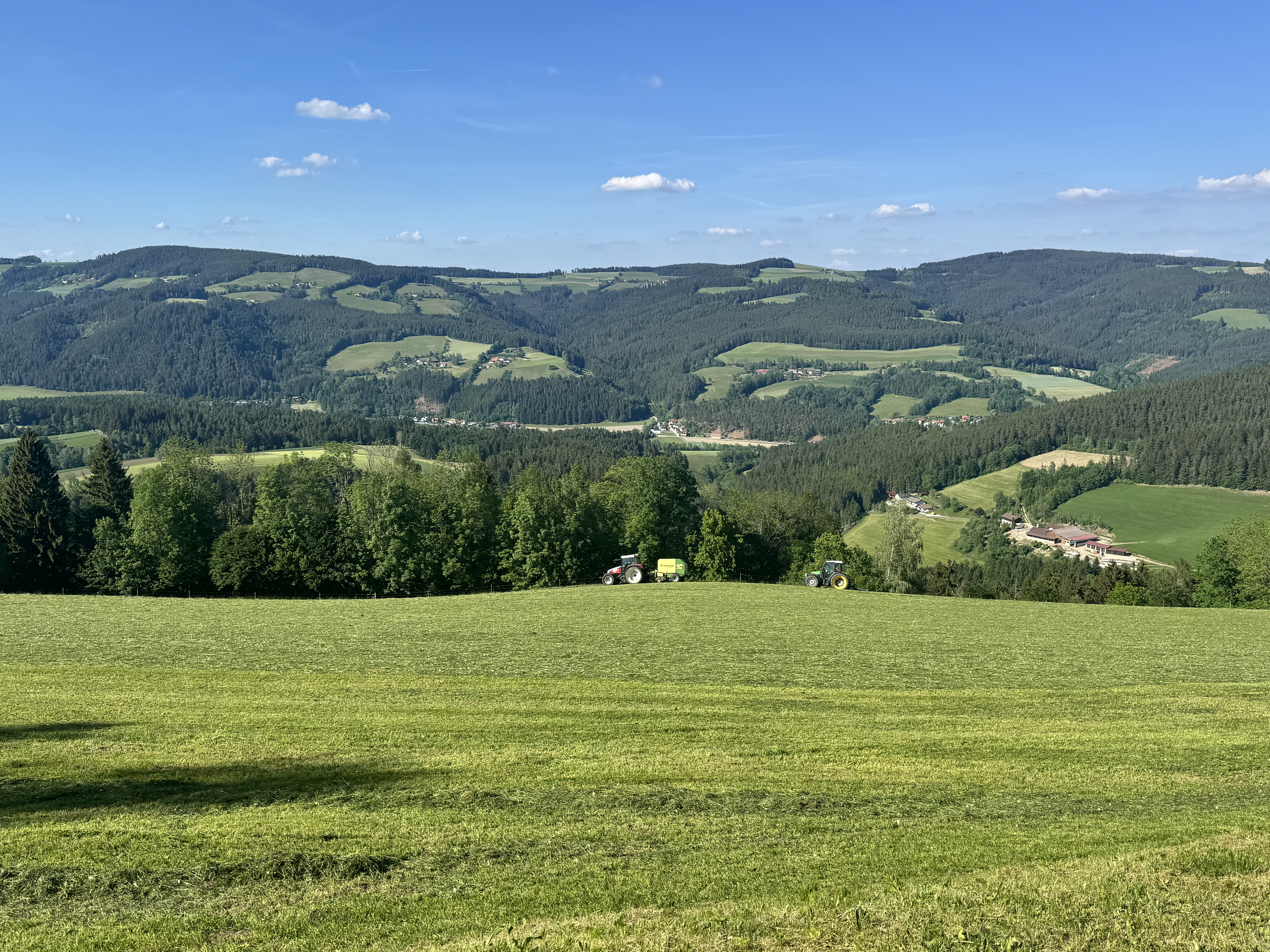 IMG_2244
